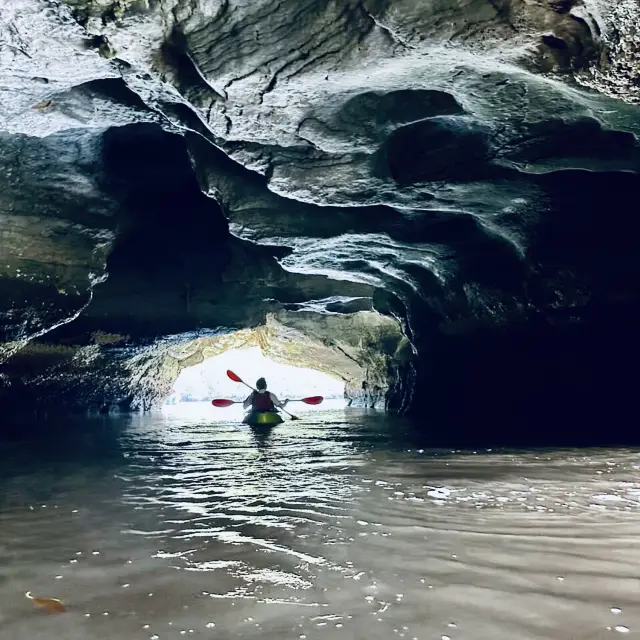 Kayaking Through the Mangroves of Kilim Geoforest Park