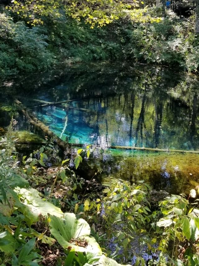 【北海道】神様からの贈り物「神の子池」