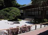 【鎌倉市】鎌倉にある竹林報国寺🎋
