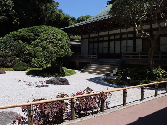 【鎌倉市】鎌倉にある竹林報国寺🎋