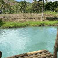 Fresh water at Cabubas Falls