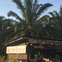 A Hidden Gem: Kopi Java Pit Stop Cafe