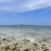 A Fun Getaway to Okinawa Churaumi Aquarium