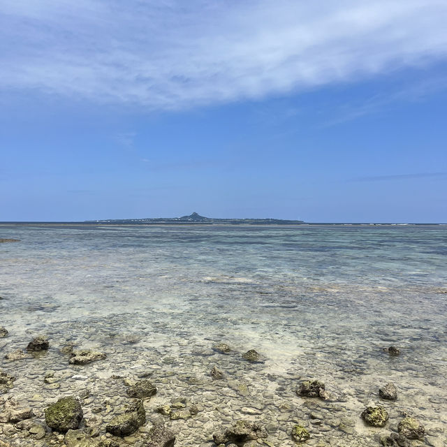 A Fun Getaway to Okinawa Churaumi Aquarium