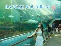 กำเงิน 30 บาทเที่ยวอควาเรียมระยอง สุดฟิน 🐠🪼