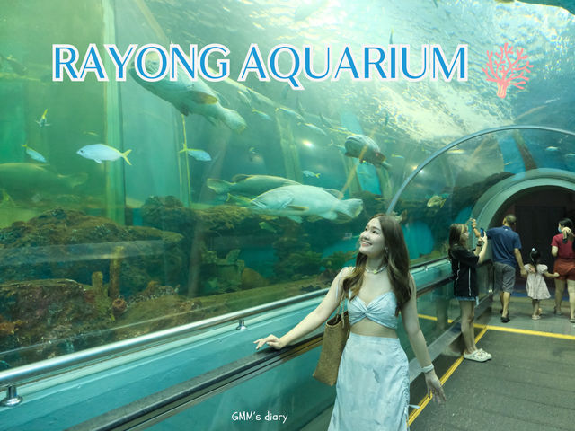 กำเงิน 30 บาทเที่ยวอควาเรียมระยอง สุดฟิน 🐠🪼