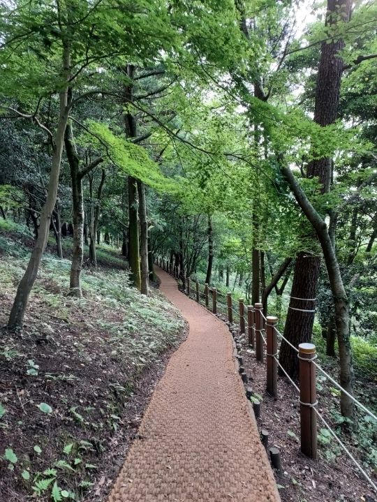 Enjoying the serendipity at Halla Aboretum near Jeju Airport Enjoying the serendipity at Halla Aboretum near Jeju Airport