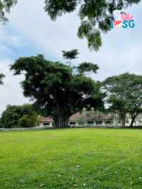 🇸🇬 Berry welcome to Fort Canning Hill