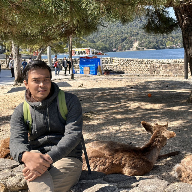 Island of Wonder: Exploring the Beauty and Charm of Miyajima!