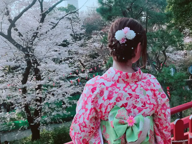 日本🇯🇵東京上野恩賜公園賞櫻花🌸