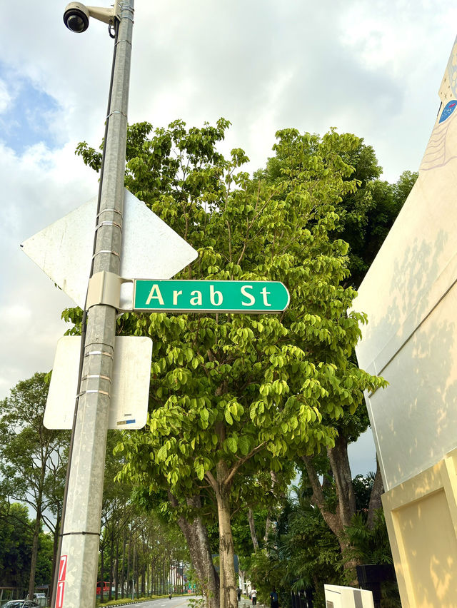 シンガポール　シンガポール観光　Arab streetのウォールアートに圧倒された！