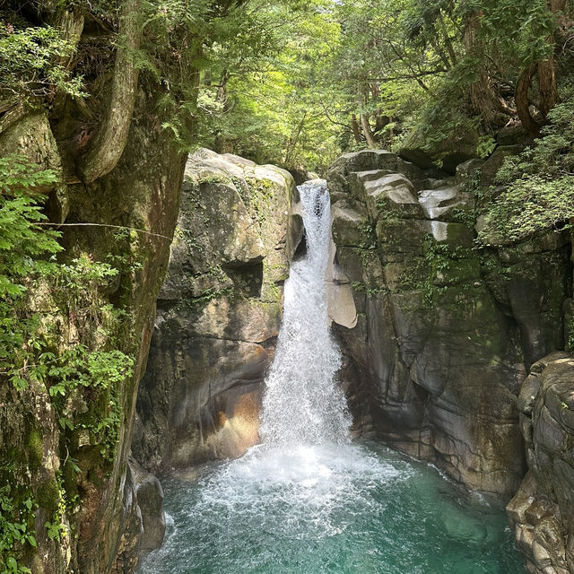 【岐阜観光】マイナスイオンで癒しの旅へ🩵