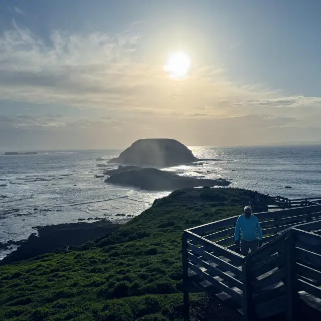 諾比斯觀景台：菲利普島的自然奇觀 🌊🦭