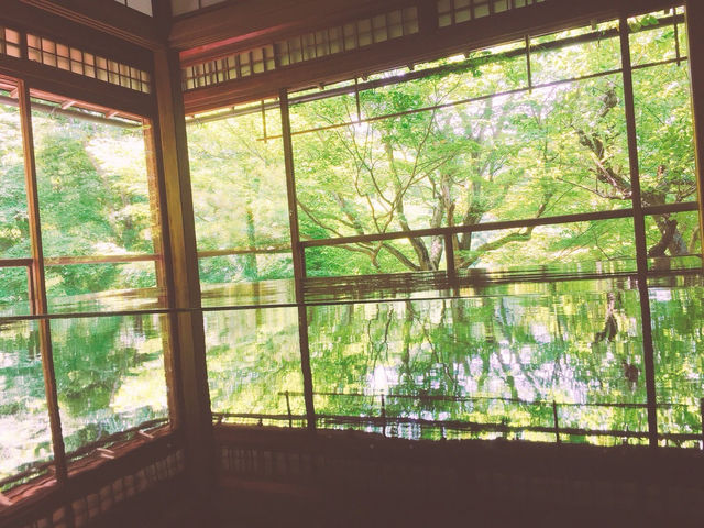 【京都】大自然を感じるパワースポット！瑠璃光院