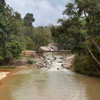 Elephant Encounters and Jungle Fun: My Day at Kenyir Elephant Conservation Village!