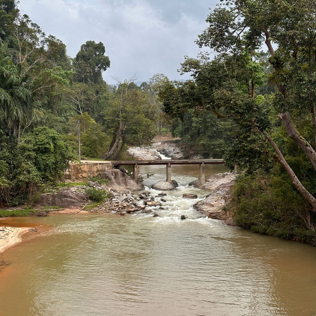 Elephant Encounters and Jungle Fun: My Day at Kenyir Elephant Conservation Village!