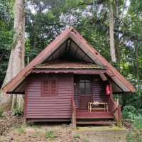Three Reasons Why Must Visit Taman Negara and Stay at Mutiara Resort