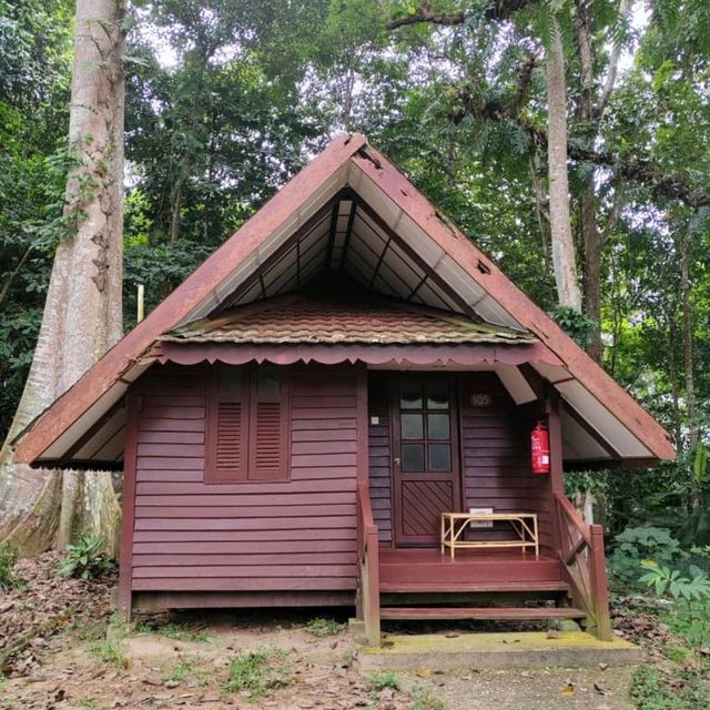 Three Reasons Why Must Visit Taman Negara and Stay at Mutiara Resort