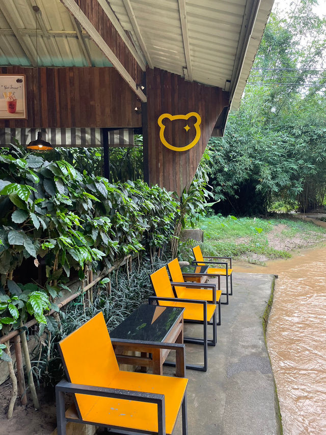บ้านสวนกาแฟ “เชียงใหม่”🍃🫖⛲️