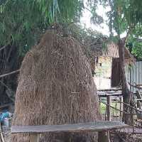 Thai Buffalo Village สุพรรณบุรี
