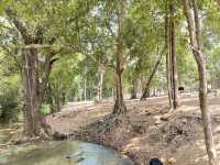 วนอุทยานน้ำตกกะเปาะ