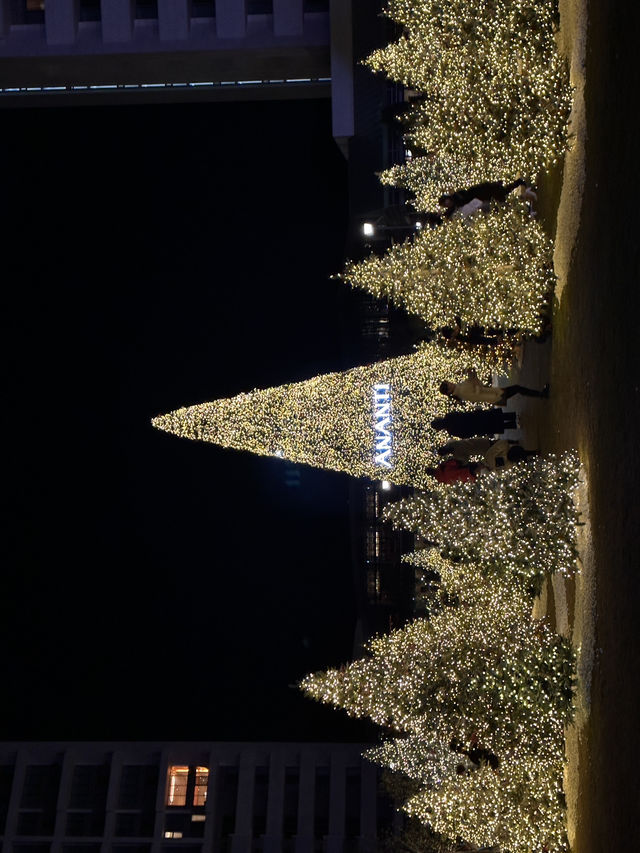 한국 부산🇰🇷 바다와 트리를 한번에 만날 수 있는 ‘빌라쥬 드 아난티🎄‘