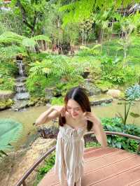T Story - Mae Kampong🌳🛖
