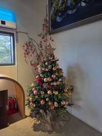 크리스마스 분위기 가득한 정관 대형카페🎄