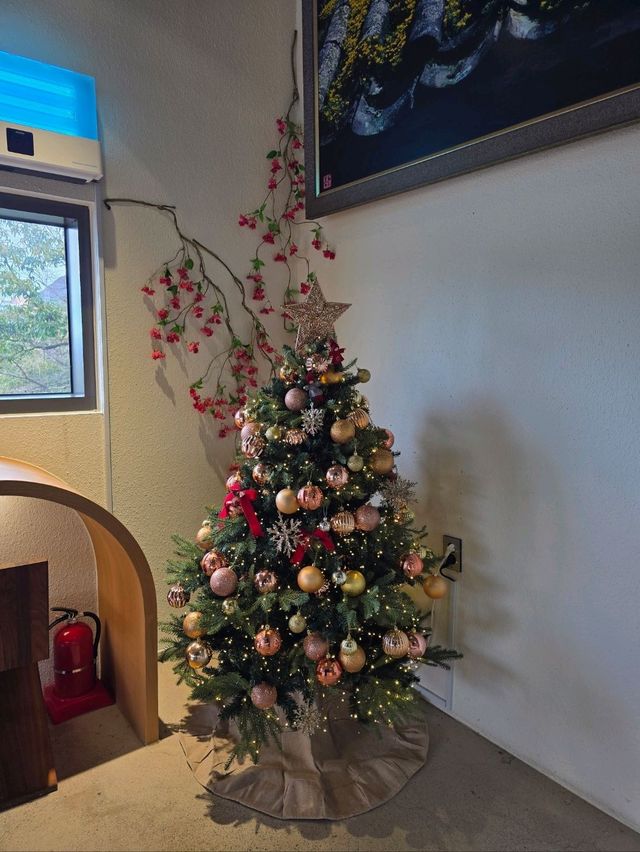 크리스마스 분위기 가득한 정관 대형카페🎄