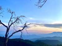 Hiking Lovers you Will Love this
