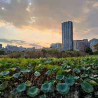 上野恩賜公園