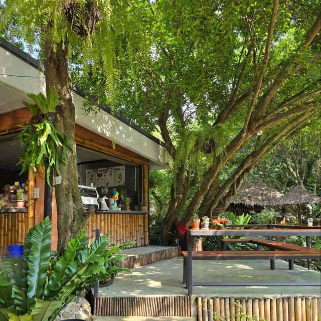 Bamboo House Cafe' ห้วยน้ำใส สวนผึ้ง