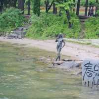 Romance & Scenic Charm: My Magical Day at Nami Island!
