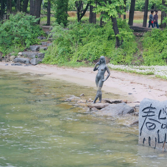 Romance & Scenic Charm: My Magical Day at Nami Island!