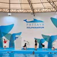 Pattaya Dolphinarium: A Fun and Educational Experience for All Ages