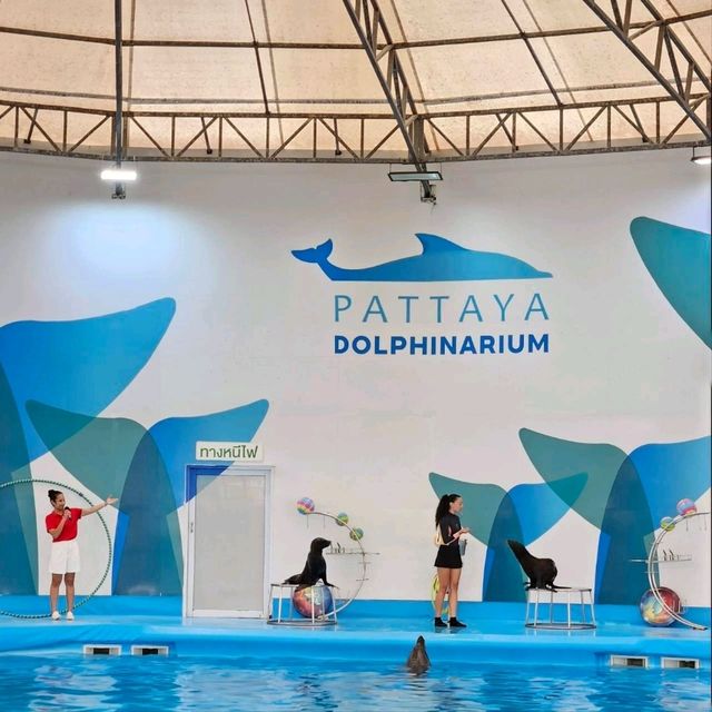 Pattaya Dolphinarium: A Fun and Educational Experience for All Ages