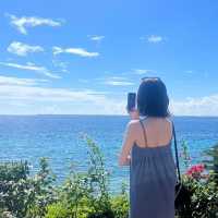 南国セブ🏝️🐬