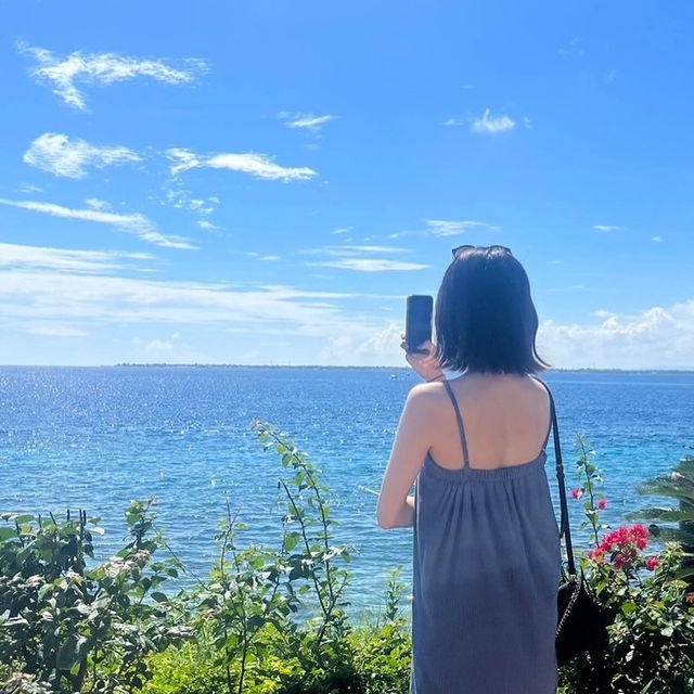 南国セブ🏝️🐬