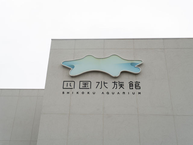 【香川】まるで美術館？🫧四国水族館