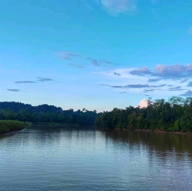 3 Reasons Why Must Explore the Kinabatangan River 