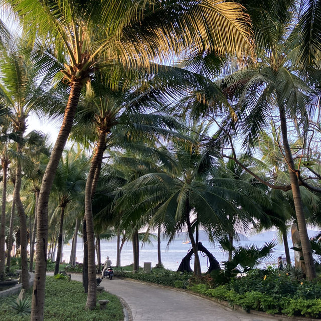 나트랑에서 꼭 가봐야 하는 섬 <혼땀섬(Hon Tam Island)>🏝