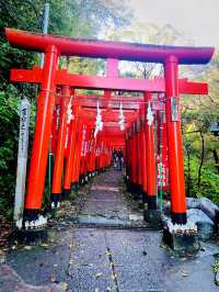 【神奈川県/鎌倉　白狐の置物がたくさん並ぶ神秘的な場所『佐助稲荷神社』】