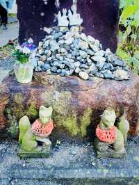 【神奈川県/鎌倉　白狐の置物がたくさん並ぶ神秘的な場所『佐助稲荷神社』】