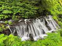 Discovering Shiraito Falls