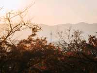วัดคิโยมิสึเดระ (Kiyomizu-dera Temple)