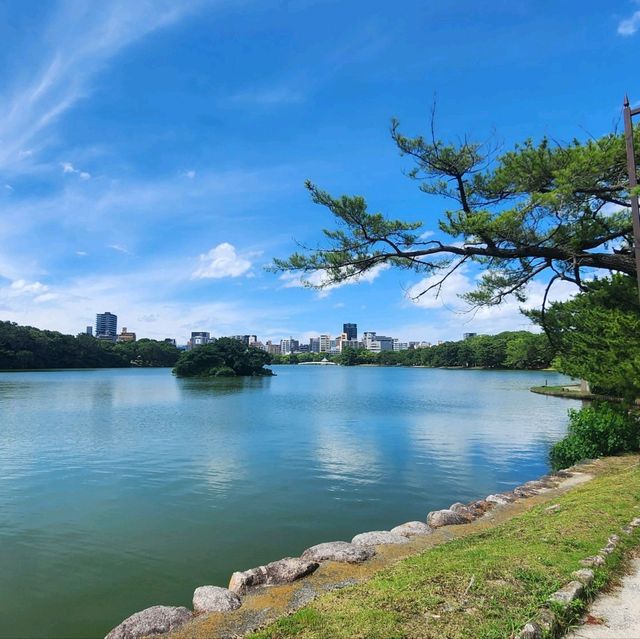 후쿠오카 여행중 방가운 공원! 오호리 공원을 가보자!
