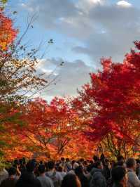 景點推薦：清水寺——京都紅葉絕景的經典地標