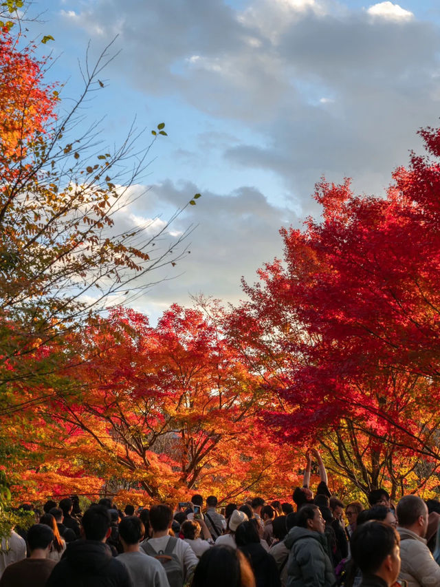 景點推薦：清水寺——京都紅葉絕景的經典地標