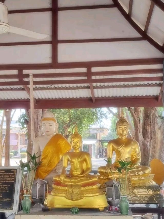 เที่ยวกาญกัน : วัดใหม่เจริญผล 😇✨️🙏