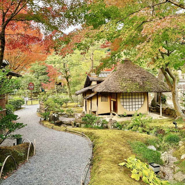 寶珠院：秋景園夢 🌸🍂